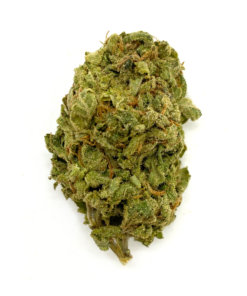 GREEN CRACK – SATIVA