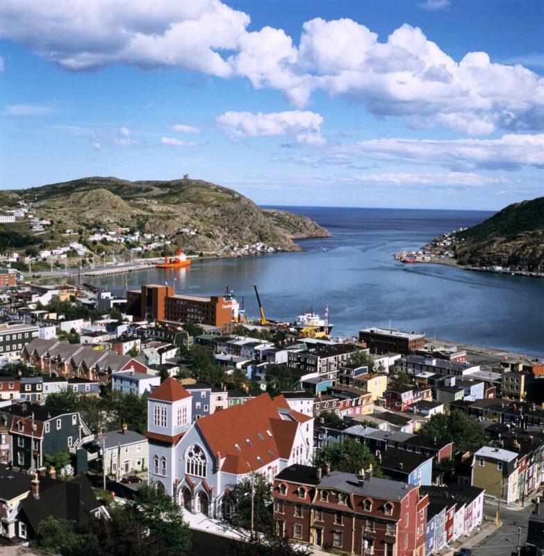 Best Same-Day Weed Delivery in St. John's 106 783x800 - Best Same-Day Weed Delivery in St. John's