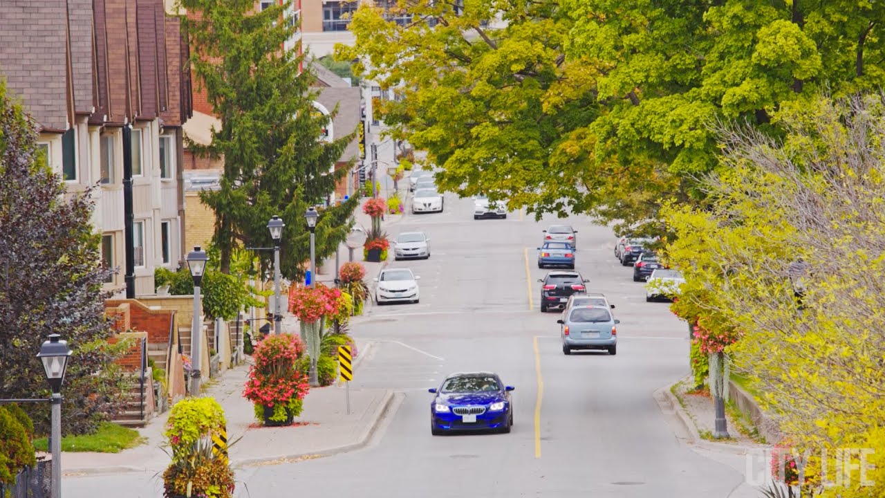 Best Same-Day Weed Delivery in Woodbridge 136 - Best Same-Day Weed Delivery in Woodbridge