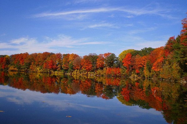 Best Same-Day Weed Delivery in Cambridge 17 2 - Best Same-Day Weed Delivery in Cambridge