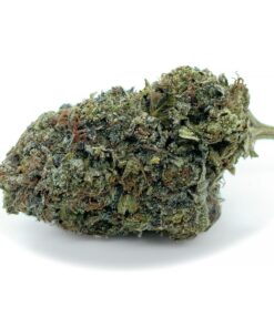 Island Pink – AAAA