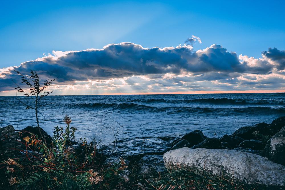 Best Same-Day Weed Delivery in Chatham-Kent 20 - Best Same-Day Weed Delivery in Chatham-Kent
