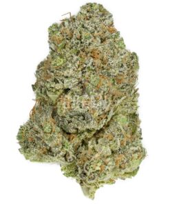 Apollo 11 by Bodhi Seeds