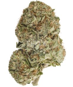 Grease Monkey