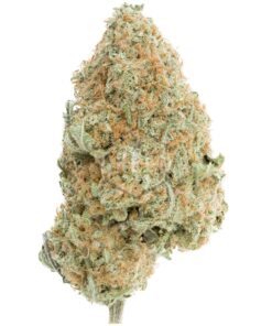 Hawaiian Cookies