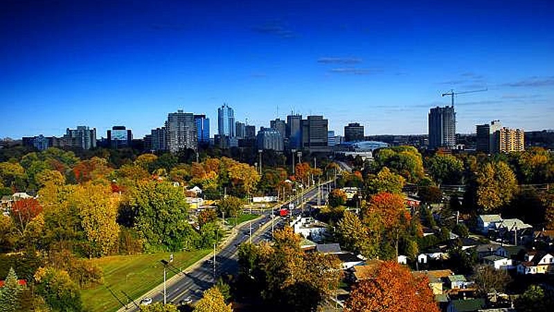 Best Same-Day Weed Delivery in London 63 - Best Same-Day Weed Delivery in London