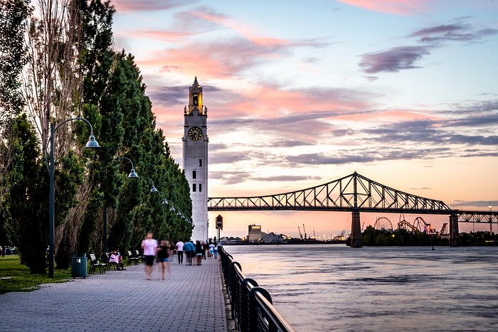 Best Same-Day Weed Delivery in Montreal 69 - Best Same-Day Weed Delivery in Montreal