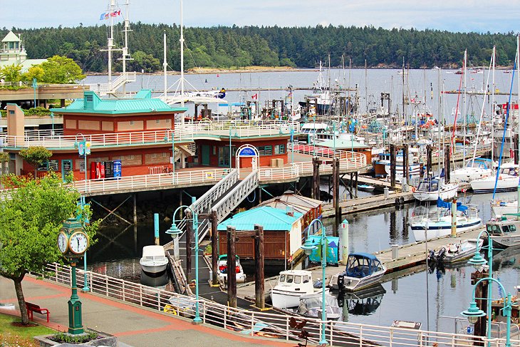 Best Same-Day Weed Delivery in Nanaimo 70 2 - Best Same-Day Weed Delivery in Nanaimo