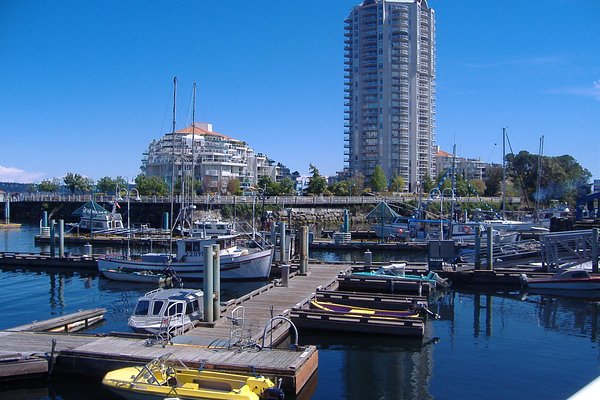 Best Same-Day Weed Delivery in Nanaimo 72 - Best Same-Day Weed Delivery in Nanaimo
