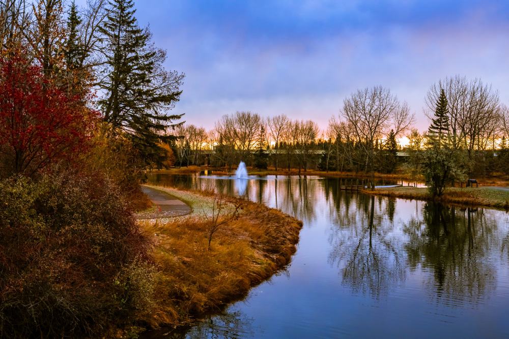 Best Same-Day Weed Delivery in Red Deer 84 1 - Best Same-Day Weed Delivery in Red Deer