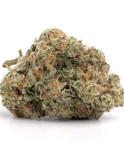 Acapulco Gold