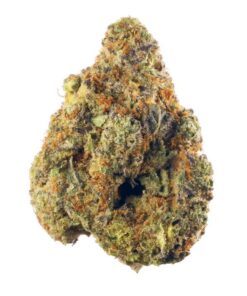 Afghani – Indica BULK