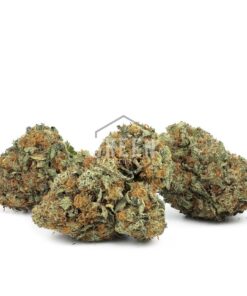 Agent Orange