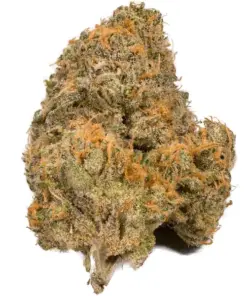 Agent Orange – Sativa