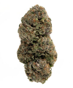 Alien Breath