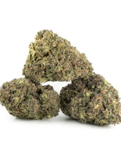 Alien OG