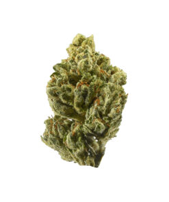 Alien OG – Hybrid BULK