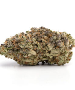 Amnesia Haze