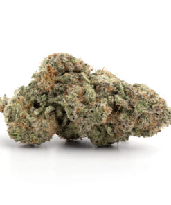 Animal Cookies
