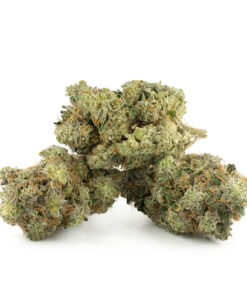 Astro Pink Kush by Pluto Craft Cannabis