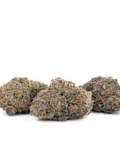 Ayahuasca Purple