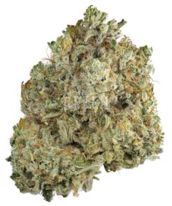 BC Rockstar (Bulk)