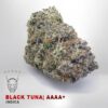 Black Tuna – AAAA+ — buy online, same-day weed delivery in Toronto | Tropic Exotic