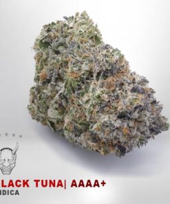 Black Tuna – AAAA+ — buy online, same-day weed delivery in Toronto | Tropic Exotic
