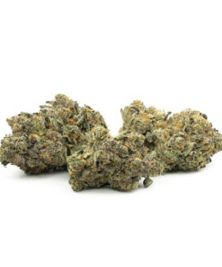 Banana Punch #9