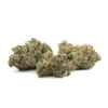 Banana Punch #9 — buy online, same-day weed delivery in Toronto | Tropic Exotic