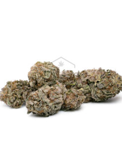 Black Amnesia Haze