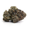 Gods Green Crack