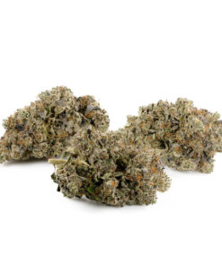 Black Gas by Pluto Craft Cannabis