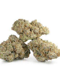 Blackberry Cream
