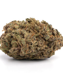 Blue Afghani