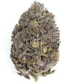 Blue Diesel by Pacific Craft