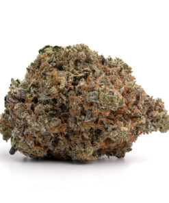 Blue Petrol – Indica