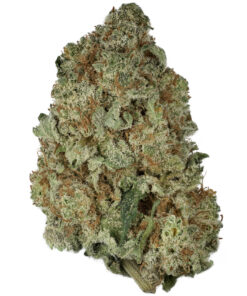 Blueberry Cheesecake by Pacific Seed Bank