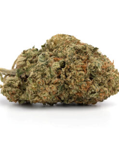 Blueberry Pie