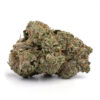Tropicana Cookies – Sativa Tropicana Cookies – Sativa