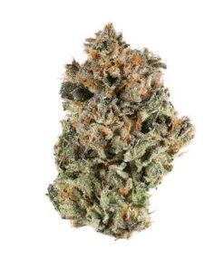 Bubba Kush – Indica BULK