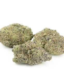 Cactus Breath