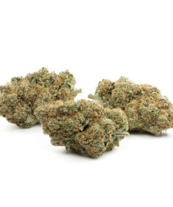 Cali Bubba