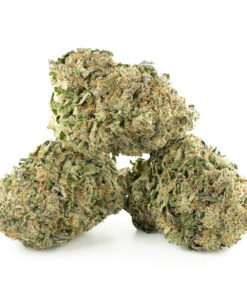 Candyland