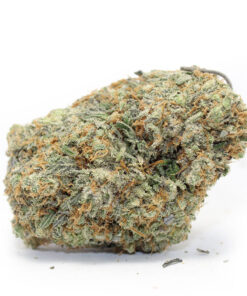 Cereal Milk – Sativa BULK — buy online, same-day weed delivery in Toronto | Tropic Exotic
