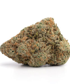 Chocolope