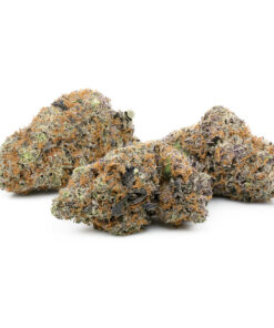 Chocolope Kush