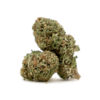 Lemon Tart – Sativa BULK Lemon Tart – Sativa BULK