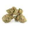 BC Rockstar (Bulk)