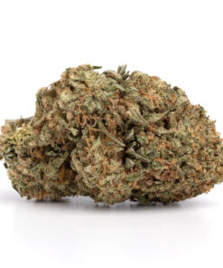 Critical Mass — buy online, same-day weed delivery in Toronto | Tropic Exotic